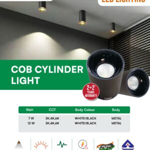 COB Cylinder Light